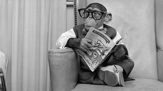 Holiday Gift Guide: Gifts For People Who Like To Read
